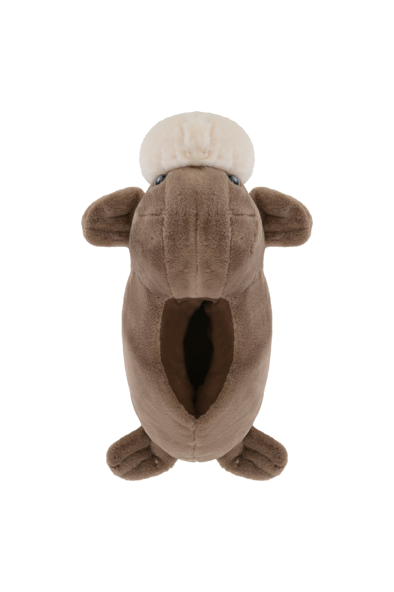 Walrus slippers best sale